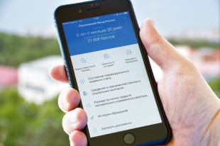 Жители Кубани могут посчитать будущую пенсию в своем телефоне