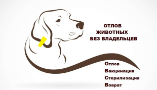 Отлов животных без владельцев (бездомных собак)