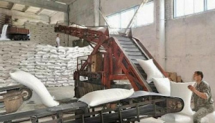 На Павловском сахарном заводе увеличили выработку и повысили эффективность