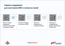 Сервисы поддержки для участников СВО и членов их семей