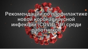 Рекомендации по профилактике новой коронавирусной инфекции (COVID-19) среди работников