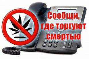 Сообщи, где торгуют смертью