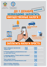 До 1 декабря необходимо заплатить имущественные налоги