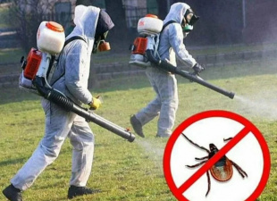 Внимание! Обработка территории от клещей