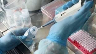 Обследование на коронавирус в регионе прошли более семи тысяч человек.