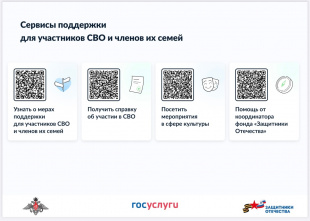 Сервисы поддержки для участников СВО и членов их семей
