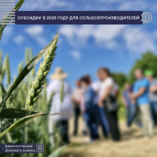 Порядок предоставления субсидий в 2025 году